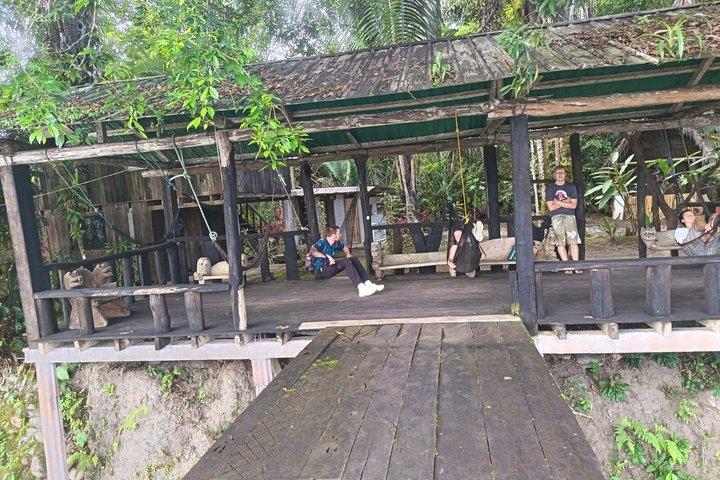 Amazon Puyo 3 Days 2 Nights | Caimans, Waterfall and Jungle