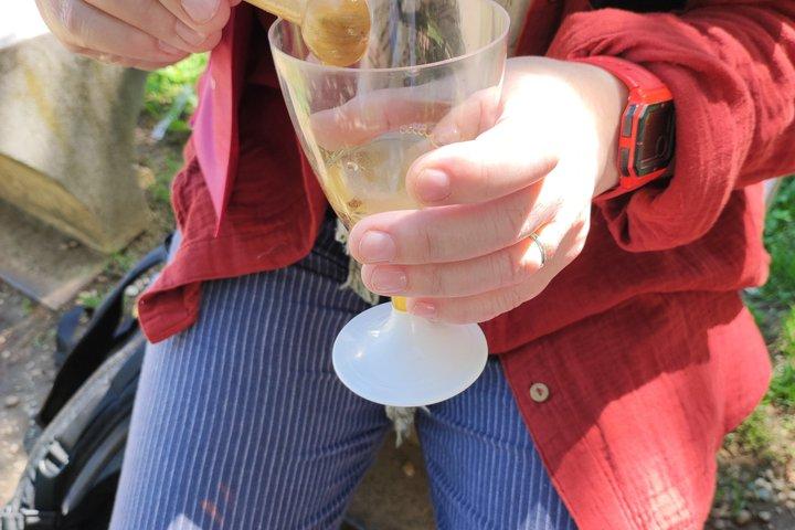 Discover Turin between hidden gems and local wine