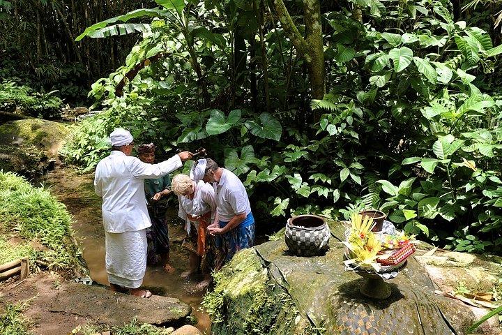 神聖なジャングル寺院バリでの浄化の儀式