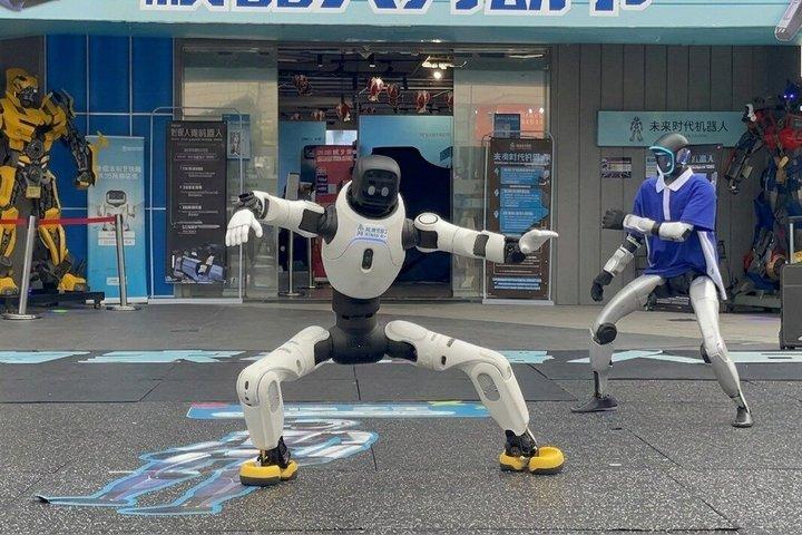 Shenzhen 0,5 o 1 giorno: "Tech Focus Tour" o "Cultura + Tech Tour"