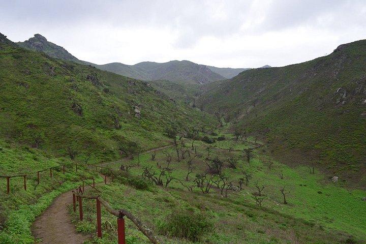 Lomas de Lachay Day Trip from Lima