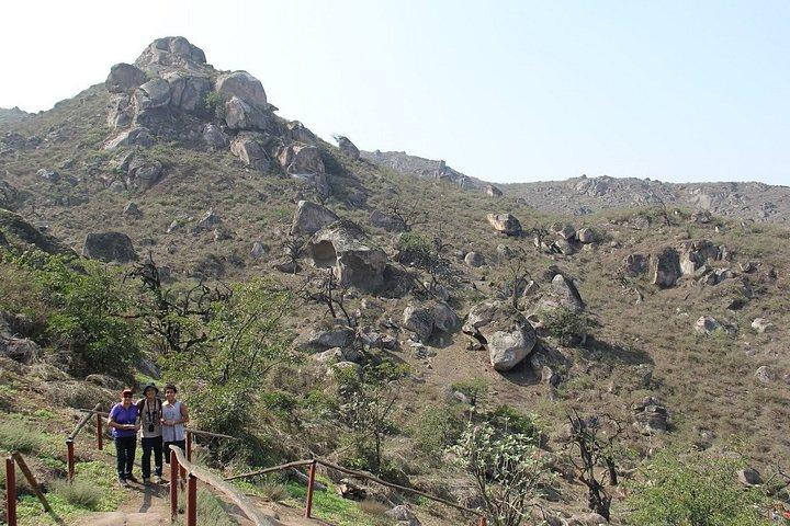 Lomas de Lachay Day Trip from Lima