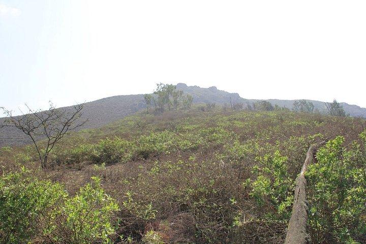 Lomas de Lachay Day Trip from Lima