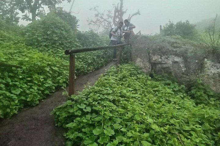 Lomas de Lachay Day Trip from Lima