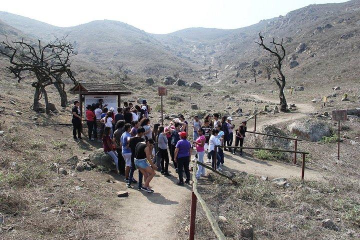 Lomas de Lachay Day Trip from Lima