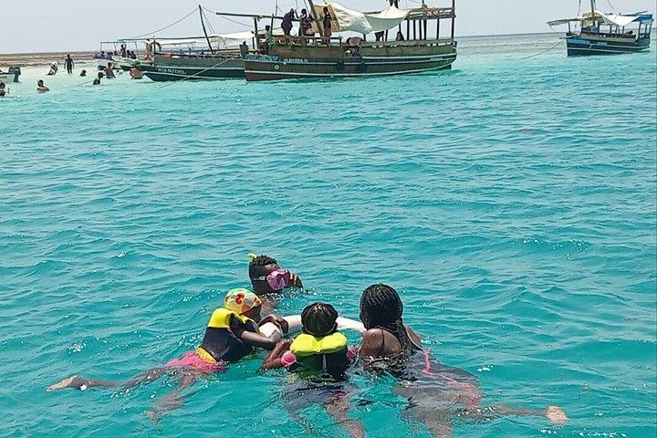 Wasini Dolphin et plongée en apnée