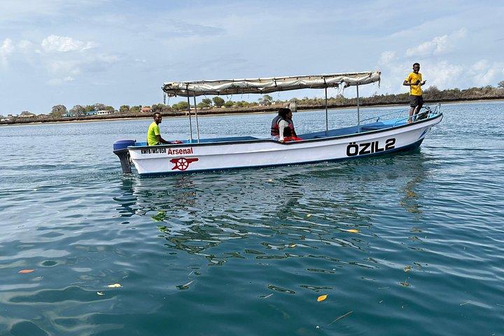 Wasini Dolphin et plongée en apnée