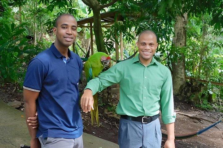 Mayan Jungle Adventure with Monkeys and Scenic Views