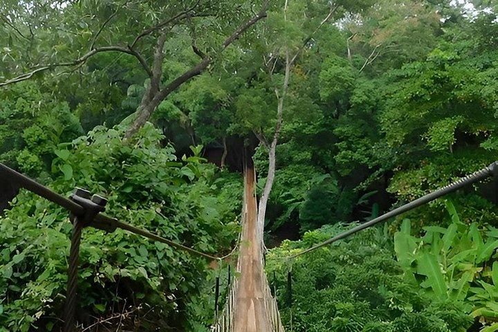 Mayan Jungle Adventure with Monkeys and Scenic Views