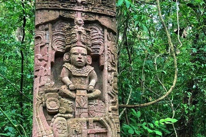 Mayan Jungle Adventure with Monkeys and Scenic Views