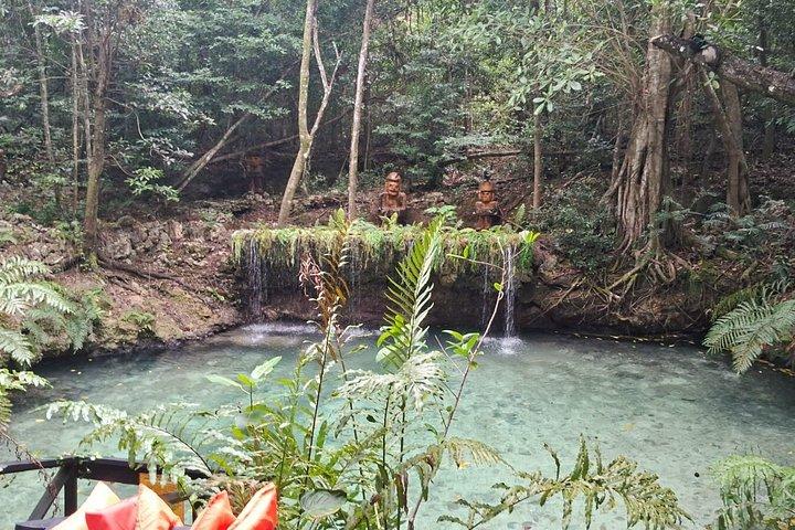 ART & FOREST WAY The Ultimate Punta Cana Adventure Experience