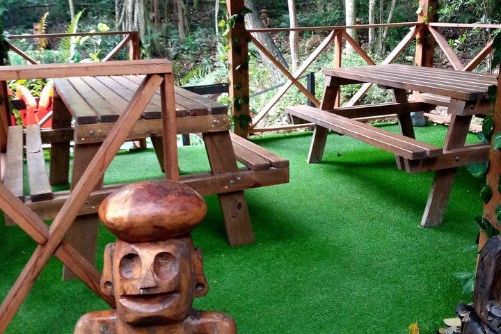 ART & FOREST WAY The Ultimate Punta Cana Adventure Experience