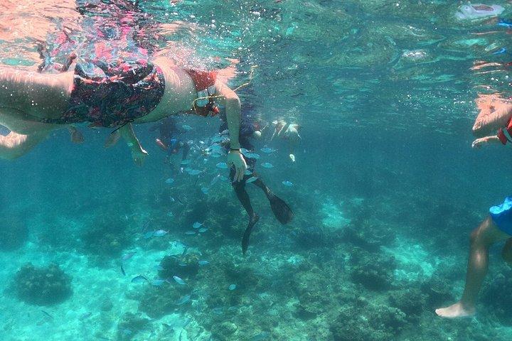 Catalina Island | Freeduiken en vervoer
