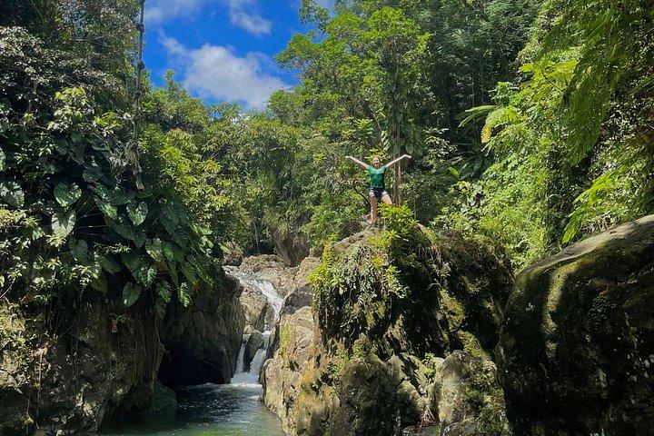 El Yunque Tour with Luquillo Lunch Stop and Transport: 6 ppl Max