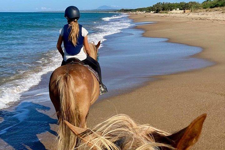 Beach and Pine Forest Horse Riding near Katakolo and Kourouta