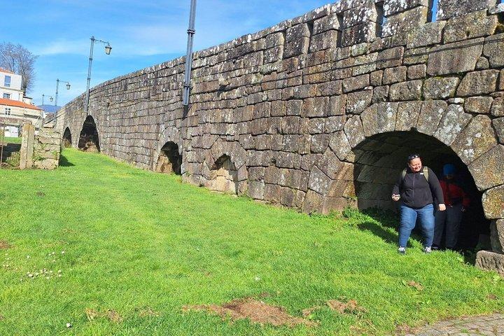 Tour privato di Ponte de Lima e tenuta vinicola verde da Porto