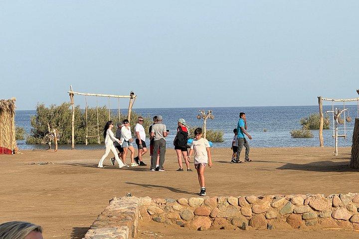サンセットクワッド、ラクダ、ショー、ディナー、カヤック、ナブクでの星空観察
