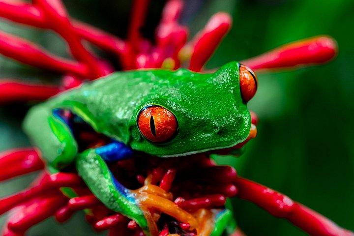 Sloth encounter, Waterfall & Horseback Riding at the Rain Forest