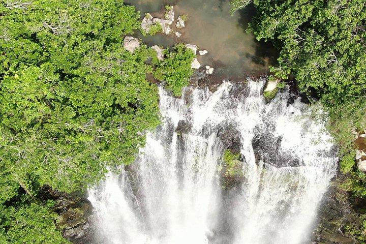 Sloth encounter, Waterfall & Horseback Riding at the Rain Forest
