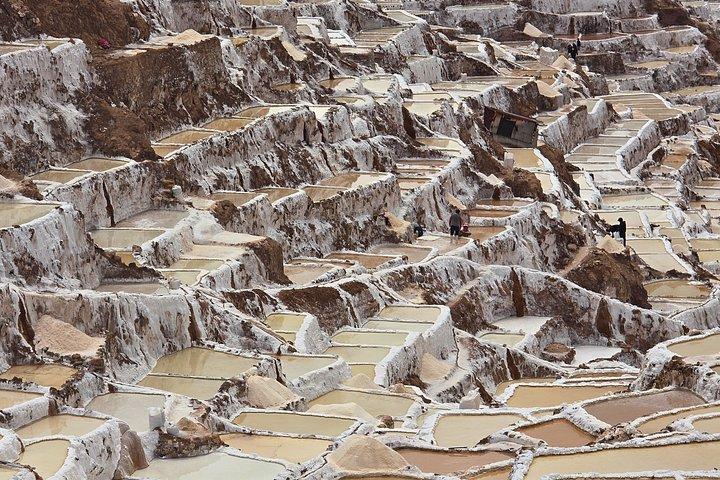 Tour privato di Maras e Moray con pranzo Llama da Tambo del Inka