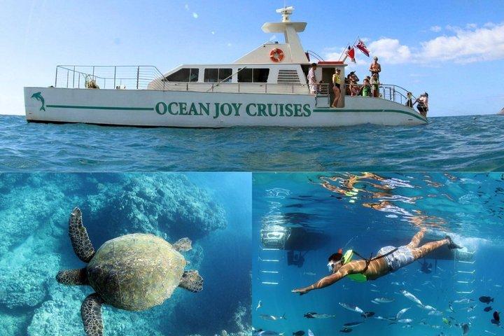 Crucero de lujo con reloj de delfines y buffet local
