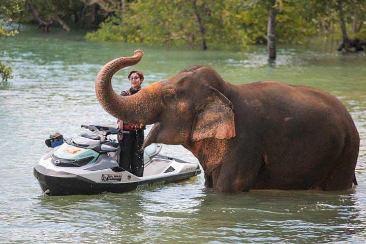 プーケット・ジェットスキー7島と象の飼育キャンプ