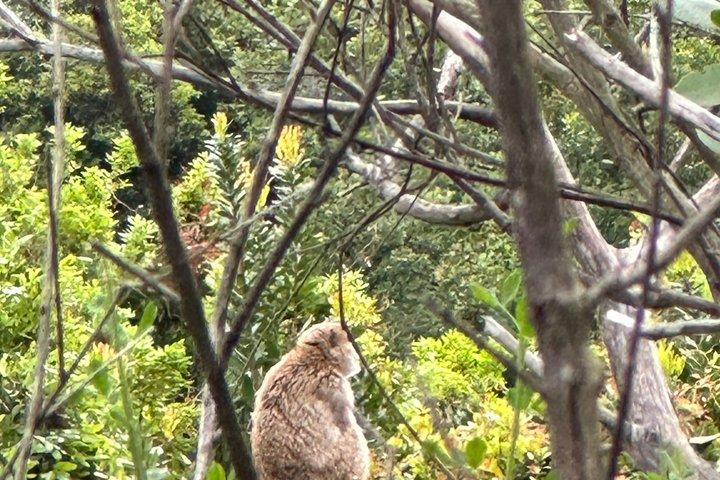 アクショールの滝とマウンテンファームを探索