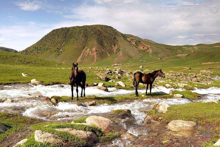 Tour di un giorno di Ala Archa e Chunkurchak con Skybridge e funivia