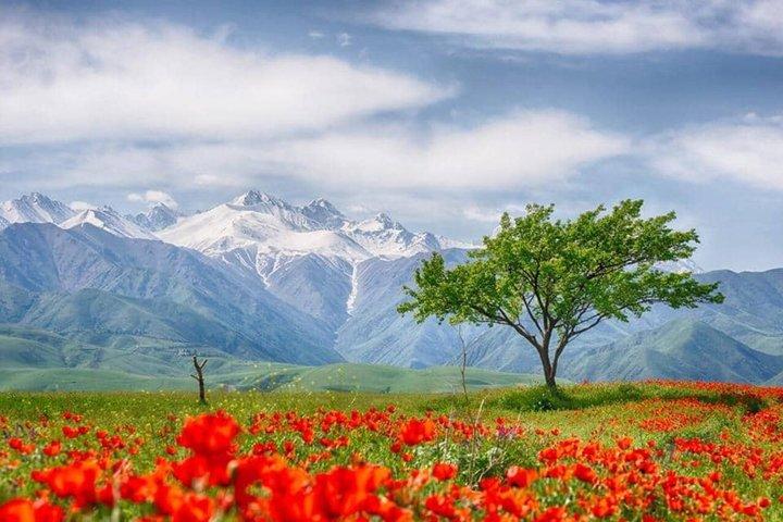 Tour di un giorno di Ala Archa e Chunkurchak con Skybridge e funivia
