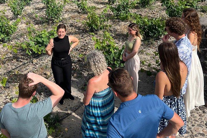 Santorini Weintour : Gemeinsame Verkostung in 3 Weingütern