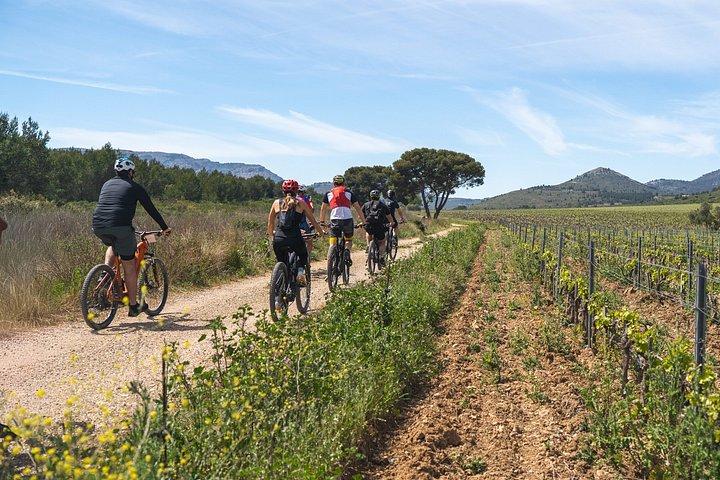 E-Mountain Bike Tour Cassis Provence