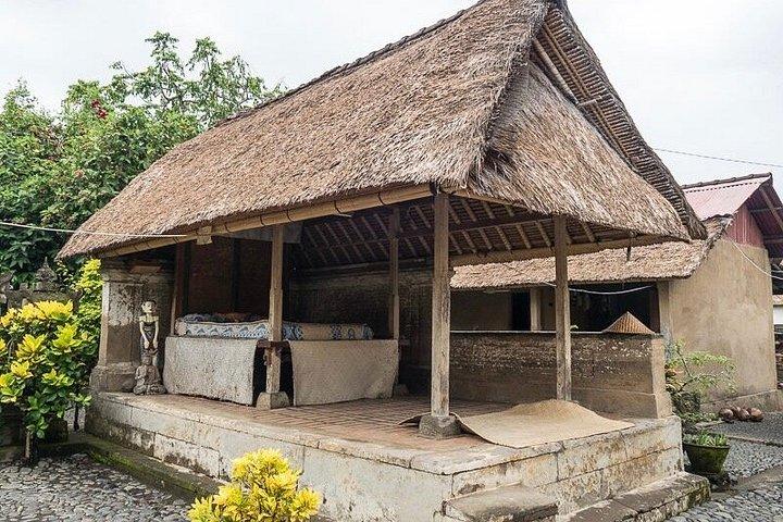 Ubud Purification Experience with Cultural Tour