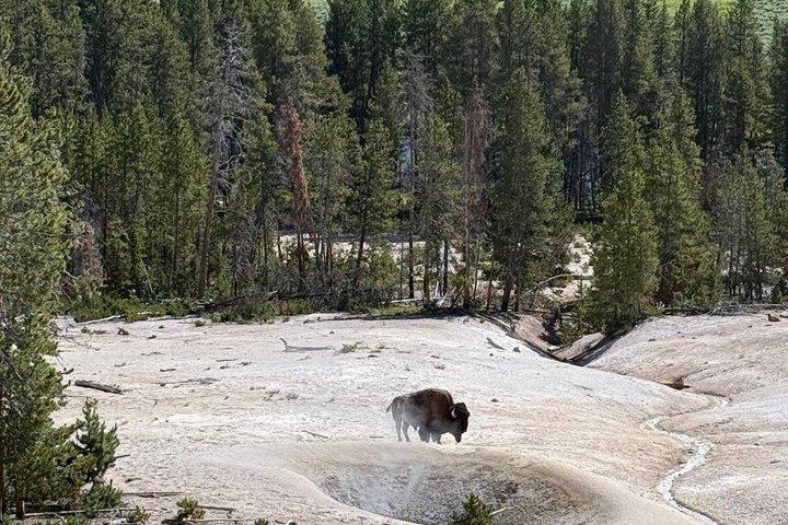 Lower Loop of Yellowstone from Cody, WY