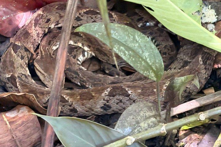 サンホセ発マヌエル・アントニオ国立公園日帰りツアー