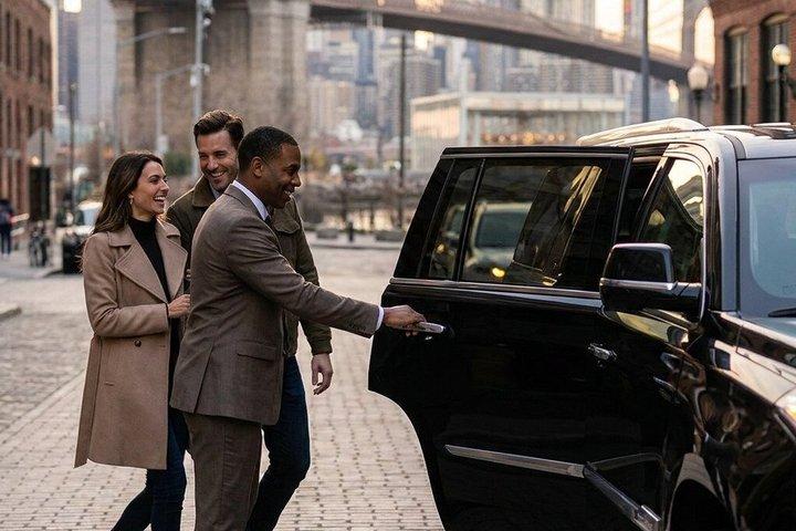 車両による最高評価のラグジュアリープライベートVIPツアー、3時間または5時間を選択