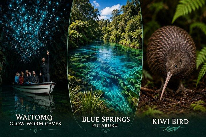 オークランドからワイトモグローワームズ、キーウィハウス＆ブルースプリングス日帰りツアー