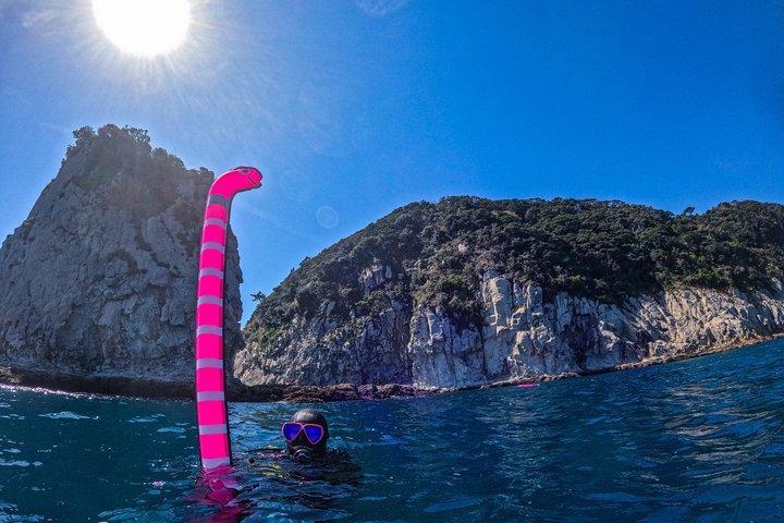 Privé bootduiken in Jeju Ontdek en geef geld