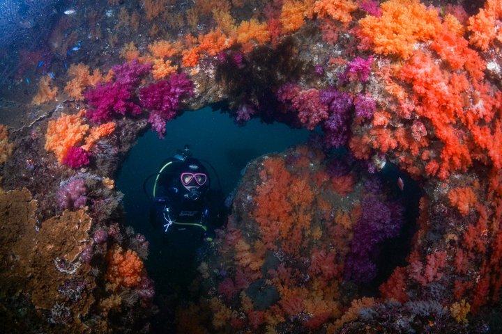 Privé bootduiken in Jeju Ontdek en geef geld
