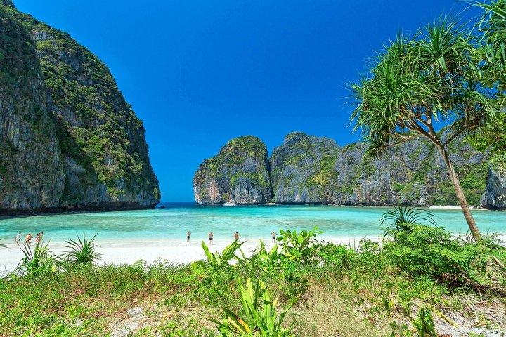 Phi Phi Maya Tour em Speedboat ou Catamaran [Inc. Taxas Nacionais]