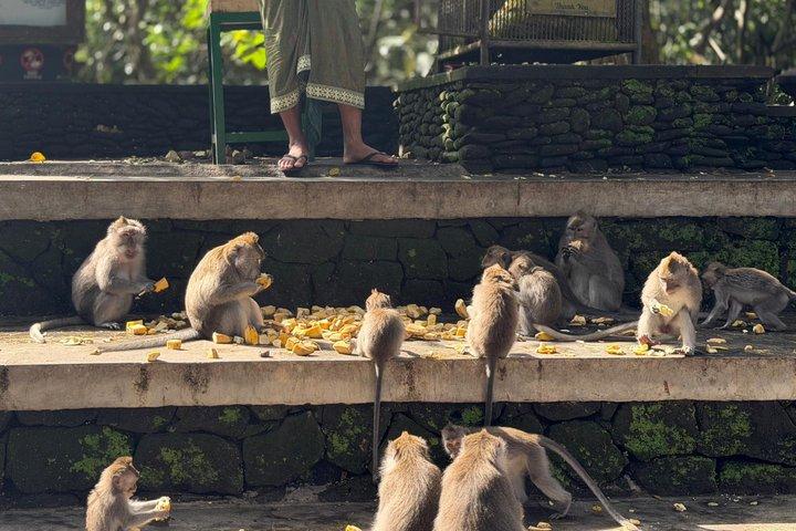 Meilleure journée complète de visite guidée privée d'Ubud