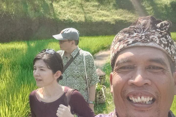 ウブドの村と滝プライベートガイドツアー