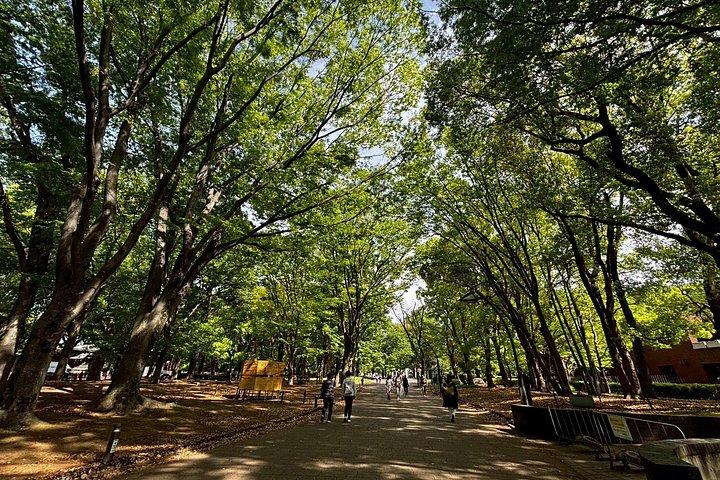 3時間の東京歴史e-バイクツアー、必見