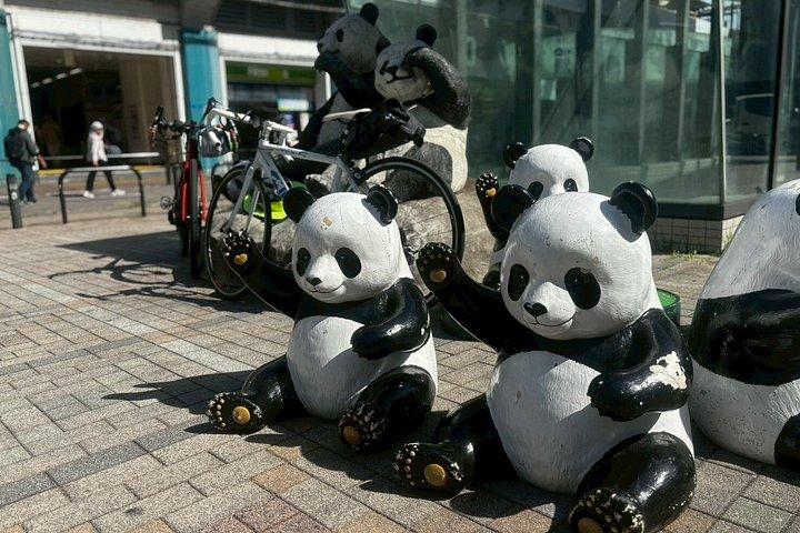 3時間の東京歴史e-バイクツアー、必見