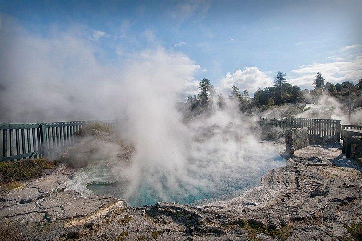 オークランドからブルースプリングス、ロトルア・ワカレワ、セコイアの森