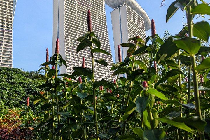 マリーナベイサンズ＆スカイパークツアー：ラグジュアリー、建築、庭園