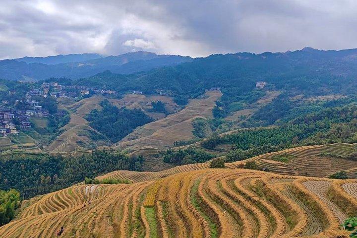 Tour de un día por las terrazas de arroz Longji y el espectáculo cultural Yao Long Hair