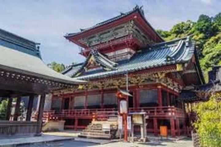 専用車とガイドによる究極の清水・静岡ツアー