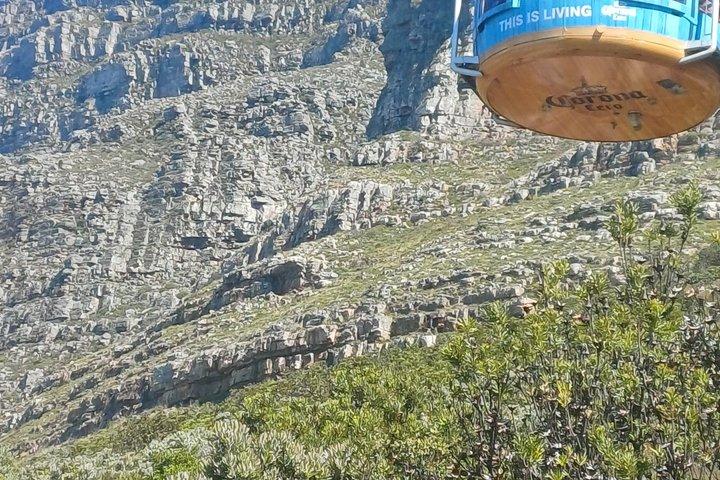 Full Day Private Tour to Robben Island & Table Mountain Cableway