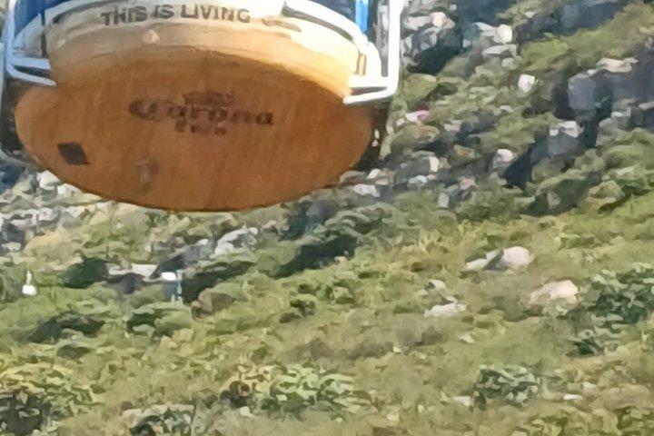 Full Day Private Tour to Robben Island & Table Mountain Cableway