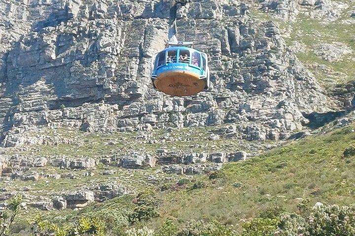 Full Day Private Tour to Robben Island & Table Mountain Cableway